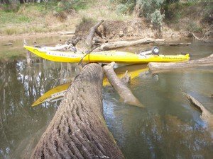 Over one log